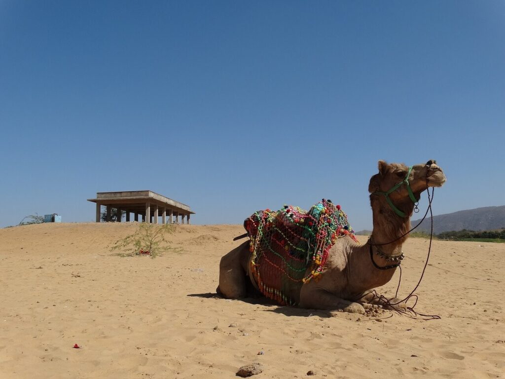 travel-1246626_1280-1