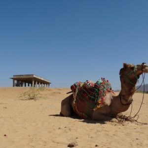 Royal Rajasthan Tour Package